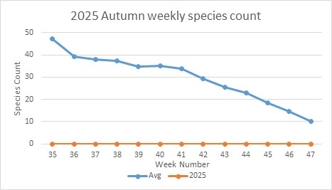 Count of species per week